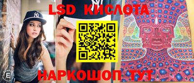 mdpv Заводоуковск