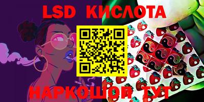 mdpv Заводоуковск