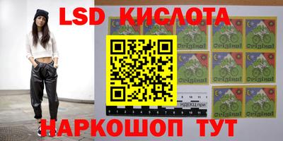 mdpv Заводоуковск