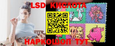 mdpv Заводоуковск