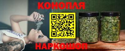 mdpv Заводоуковск