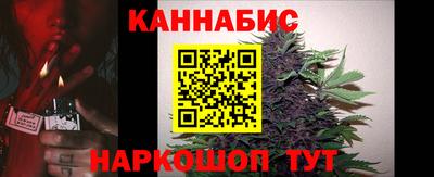 mdpv Заводоуковск
