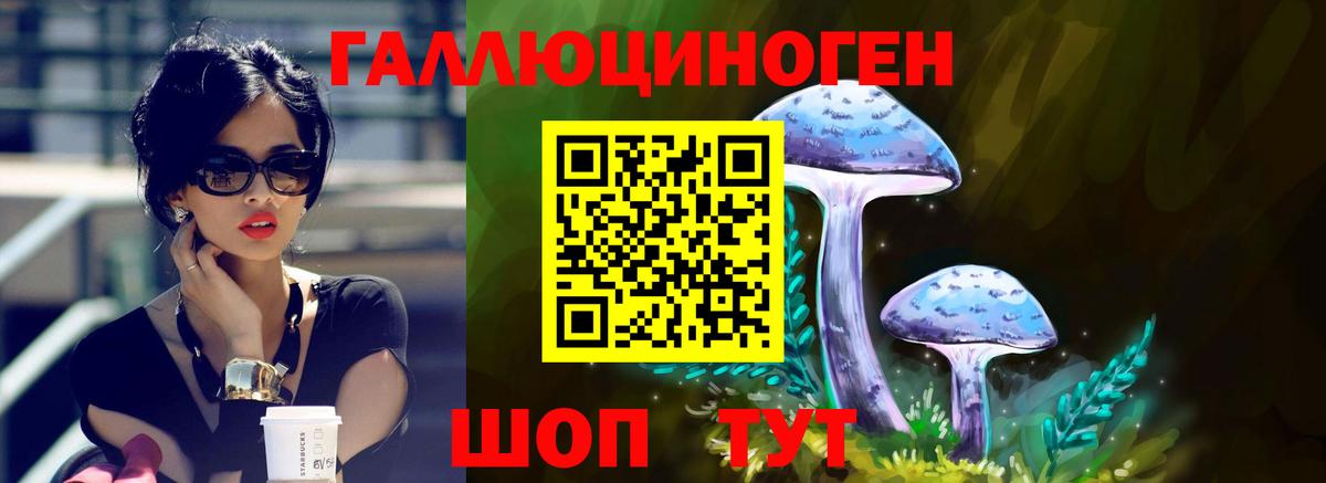 Галлюциногенные грибы MAGIC MUSHROOMS  Вход с VPN  Златоуст 